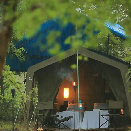 Big Game - Wilpattu By Eco Team Hotell Eksteriør bilde