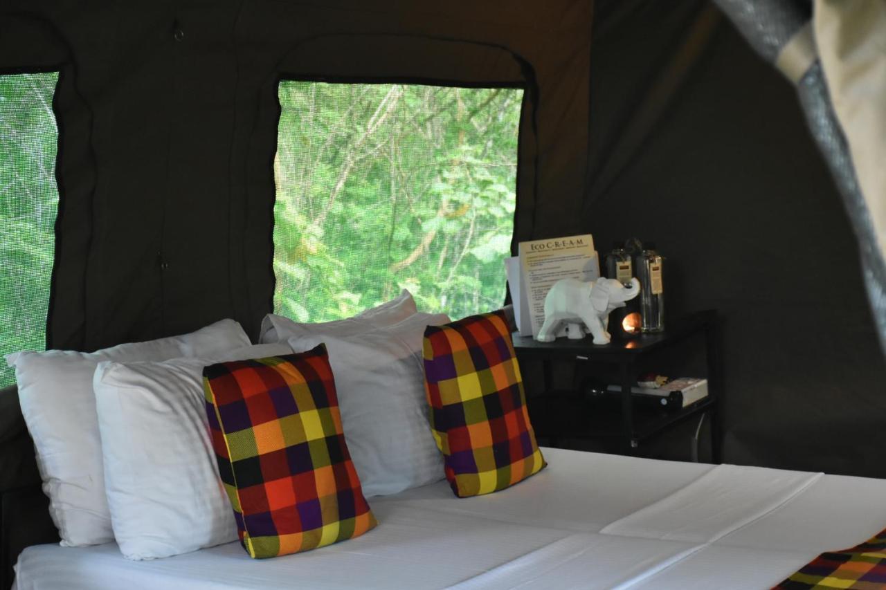 Big Game - Wilpattu By Eco Team Hotell Eksteriør bilde