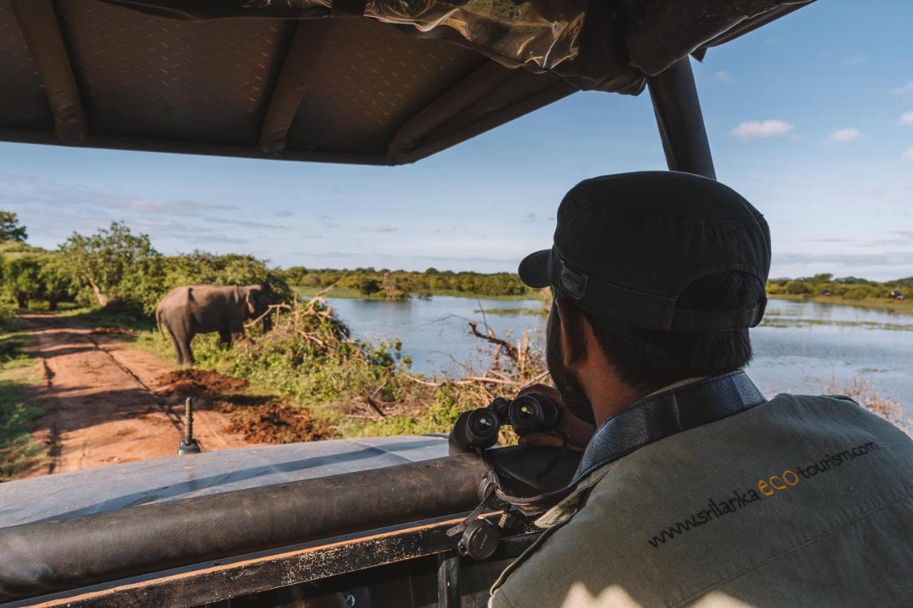 Big Game - Wilpattu By Eco Team Hotell Eksteriør bilde
