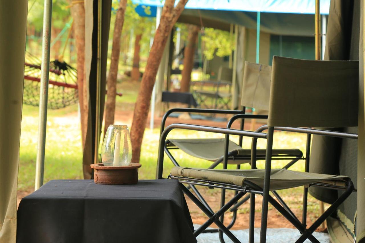 Big Game - Wilpattu By Eco Team Hotell Rom bilde
