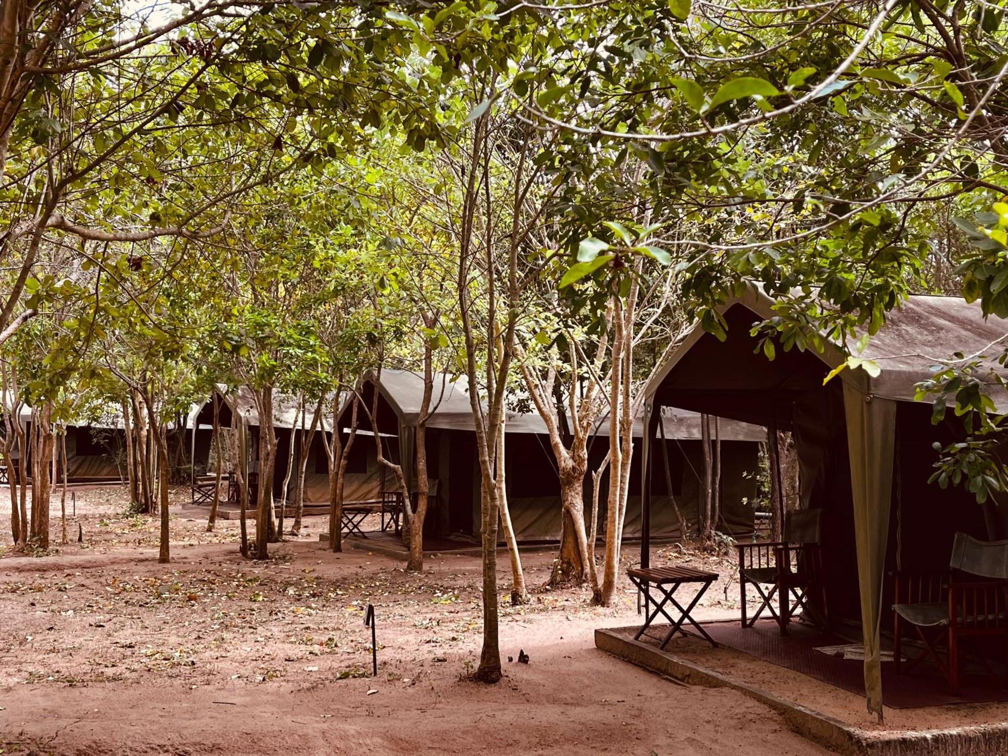 Big Game - Wilpattu By Eco Team Hotell Eksteriør bilde
