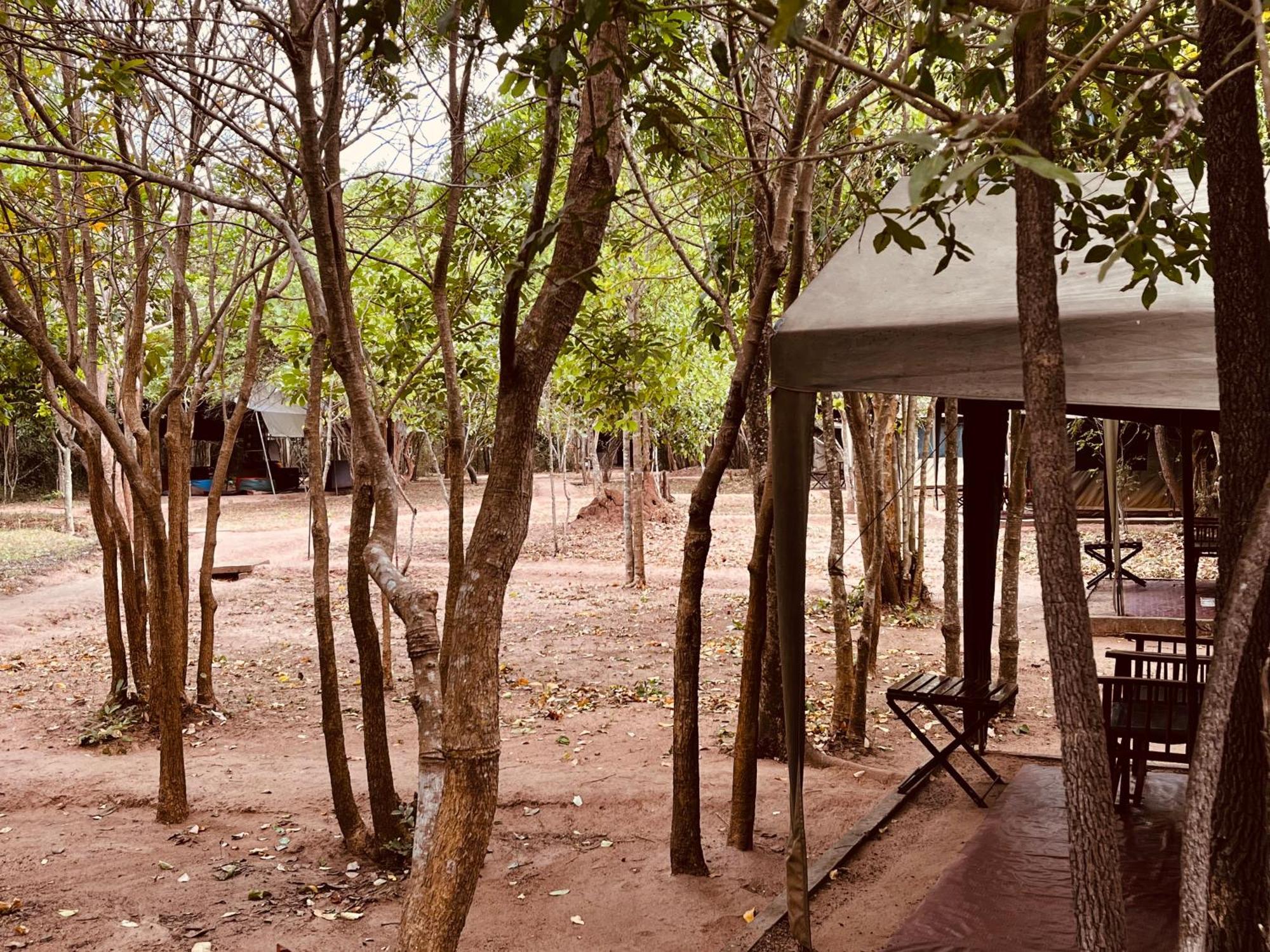 Big Game - Wilpattu By Eco Team Hotell Eksteriør bilde