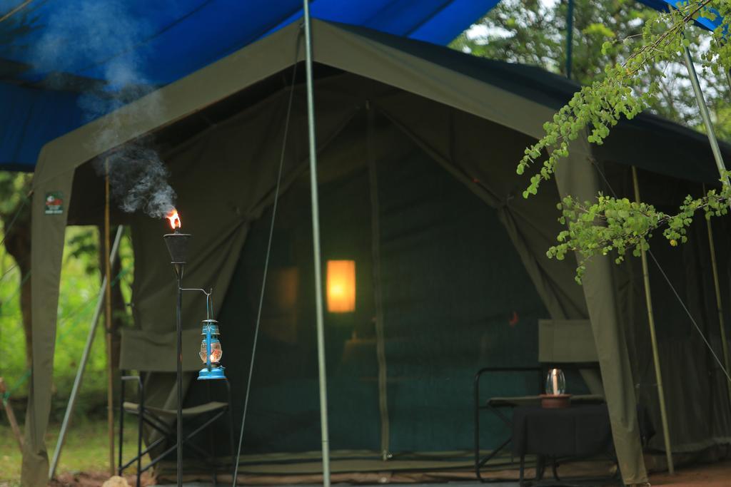 Big Game - Wilpattu By Eco Team Hotell Rom bilde