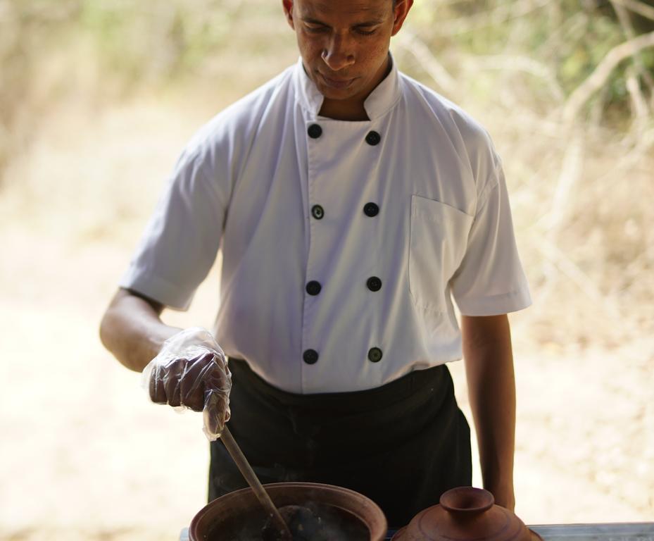 Big Game - Wilpattu By Eco Team Hotell Eksteriør bilde